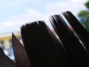 biblioteca 095 copy.jpg